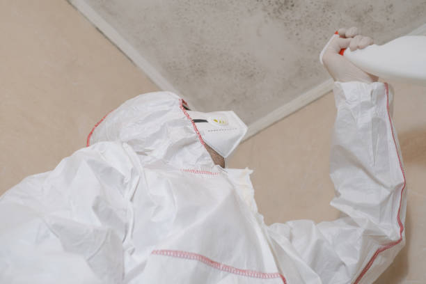 Best Bathroom Mold Remediation in College Place, WA